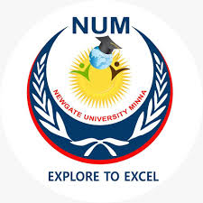 Newgate University Minna